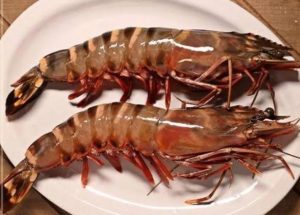 Culinary Treasures: Sea Tiger Prawns Unveiled